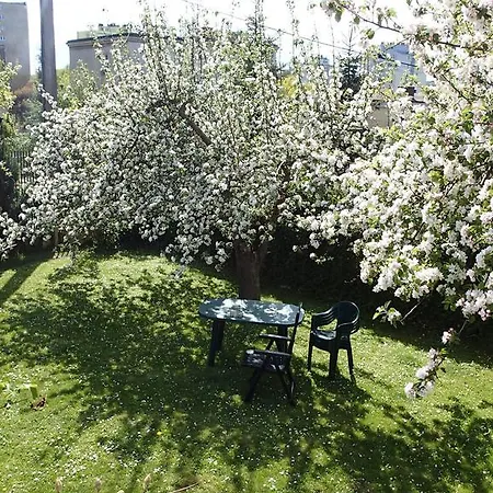 דירה Basement Flat - Mieszkanie W Niskim Parterze גדינייה