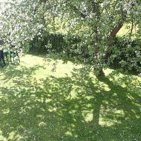דירה Basement Flat - Mieszkanie W Niskim Parterze