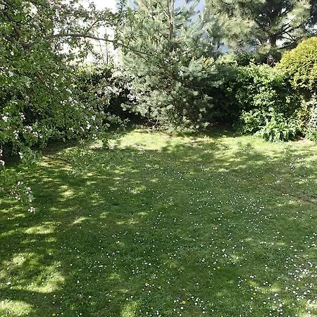 Basement Flat - Mieszkanie W Niskim Parterze דירה גדינייה